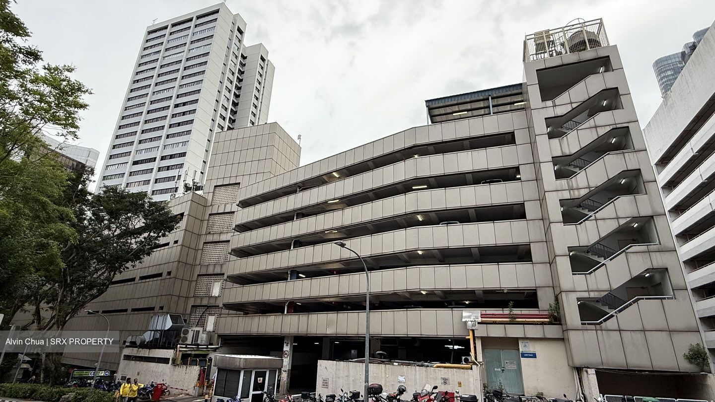 Lucky Plaza (D9), Retail #487317601